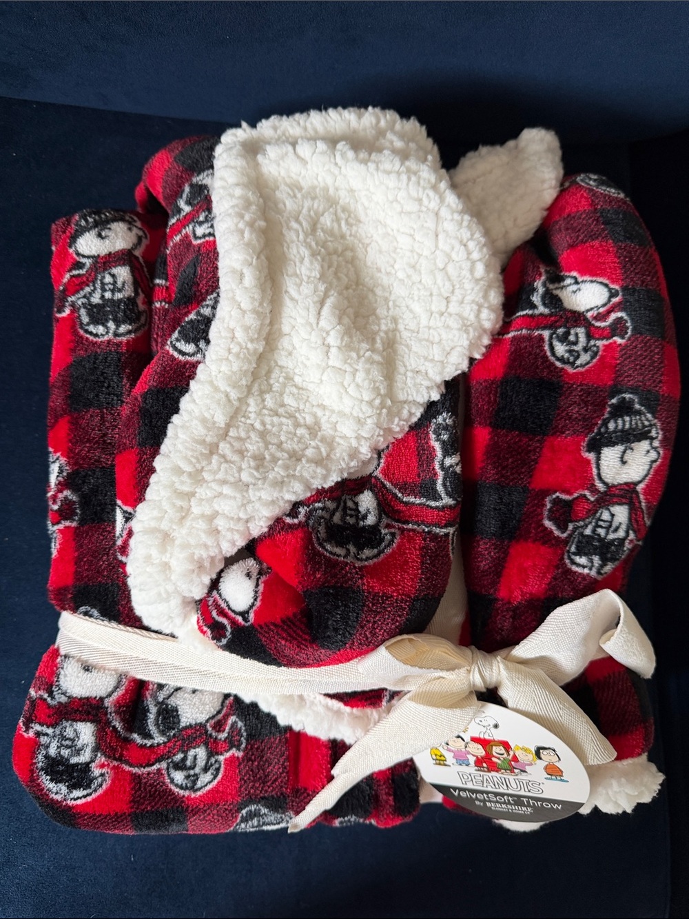 Peanuts Plaid Sherpa Throw Blanket - Red and Black
